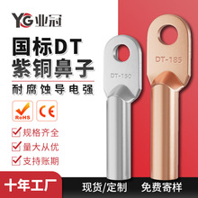 加厚DT铜鼻子国标厂标堵油铜线耳接线端子紫铜酸洗原色镀锡铜鼻子
