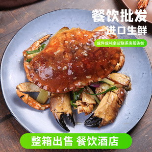 clearwaterӢ���S��з������з����Ƶ꺣�r���l�M���з