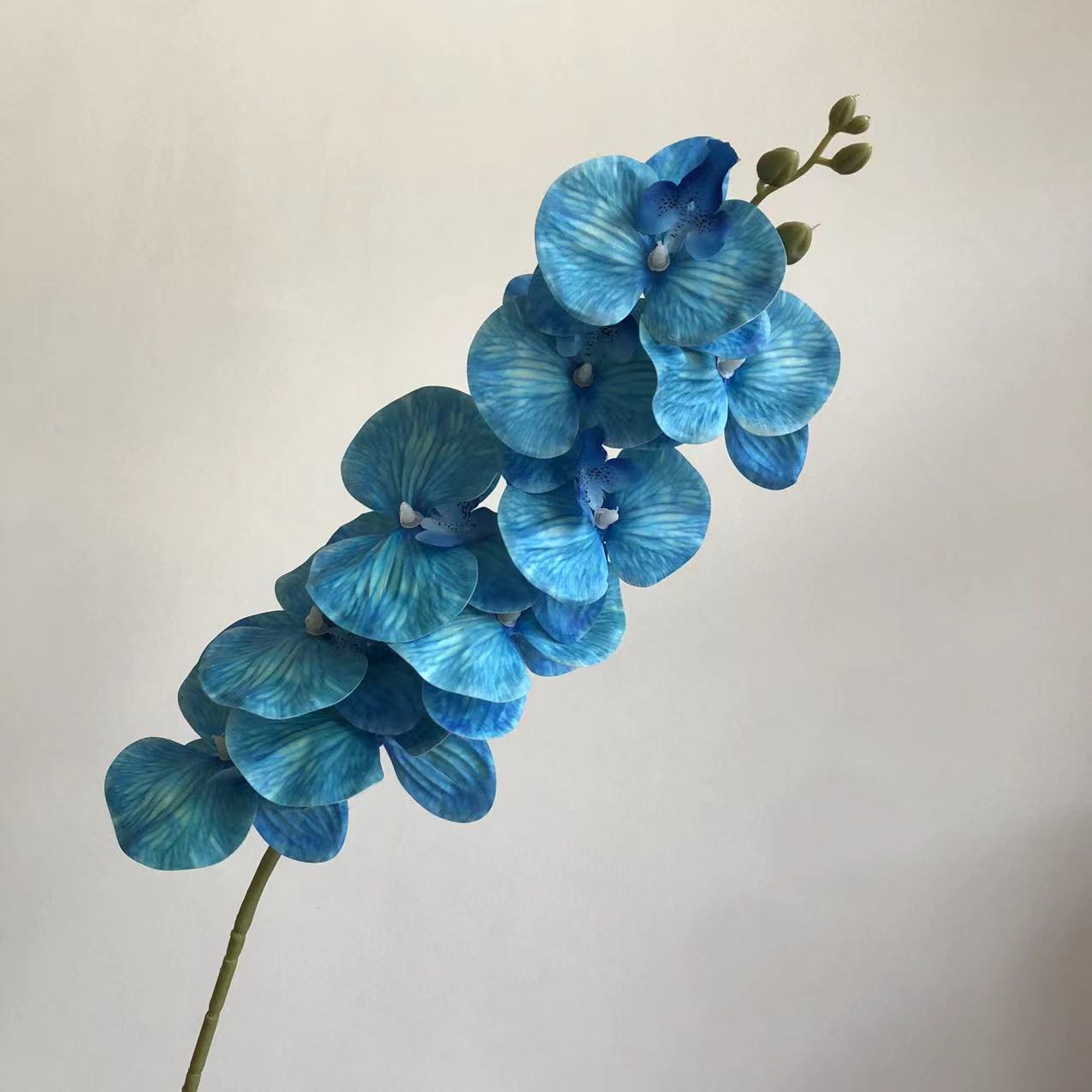 바다색