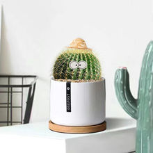 �����������҃Ȼ������������X����GֲС�ɐ۶���ֲ���辰