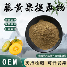 藤黄果提取物10:1HCA羟基柠檬酸藤黄果粉质检齐全厂家现货包邮