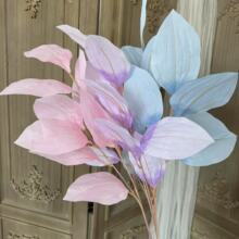 ���������~��c�~�Ļ�Y�û��ŵ��Ż���ױ�������ˇ�廨ܛ�b����