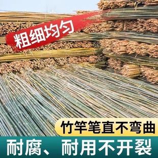 Bamboo Pole Vegetable Garden Support Pole for Beans, Cucumbers, Tomatoes, Pepper Stand, Hard Plant Climbing Vine Flagpole Wholesale