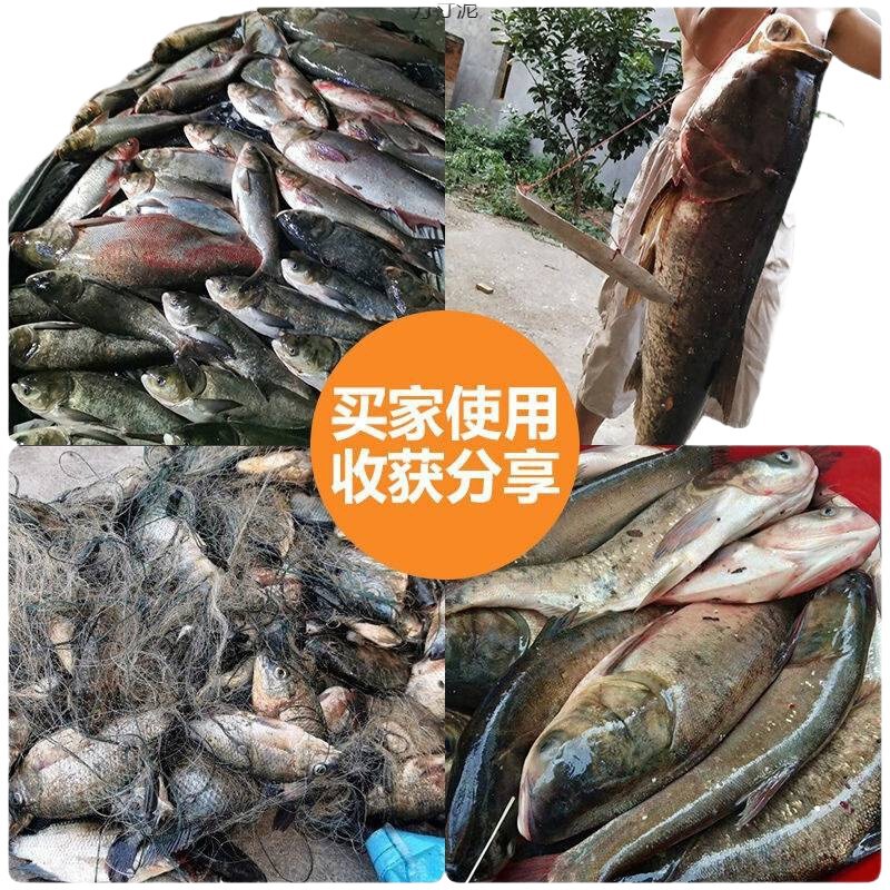 鱼网粘网三层渔网丝网三层单层沉网浮网挂子沾鲢鱼鲫鱼网一件批发|undefined