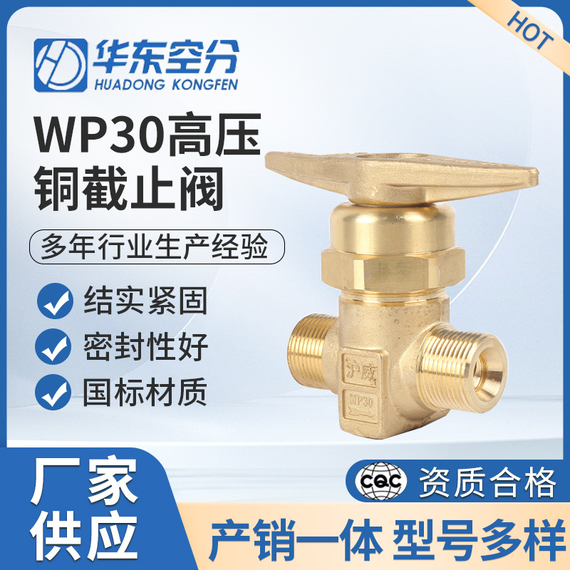 沪威WP30高压铜管道截止阀黄铜高压直通式针型截止阀批发