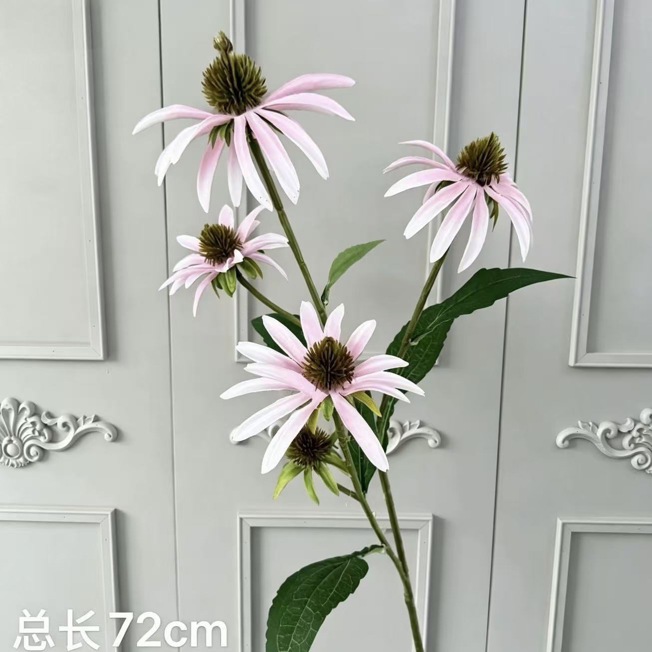 핑크색 네 갈래 해바라기