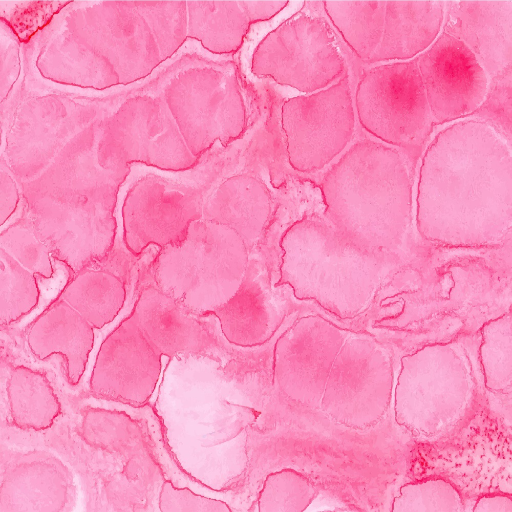 DYSC-015（12*12in）