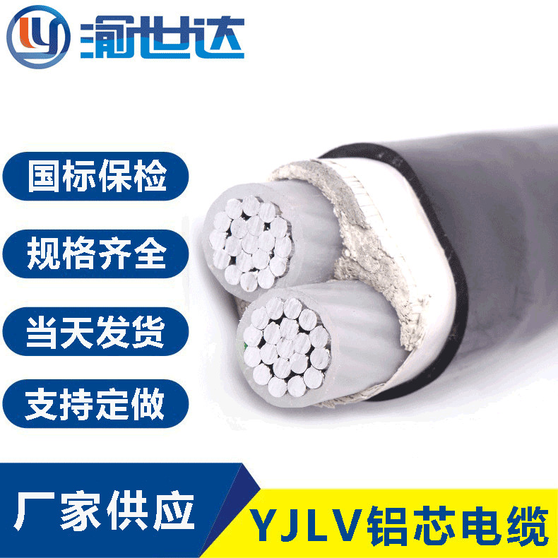 重庆电线电缆厂家现货供应 铝芯电缆YJLV 2芯铝电缆规格齐全足米