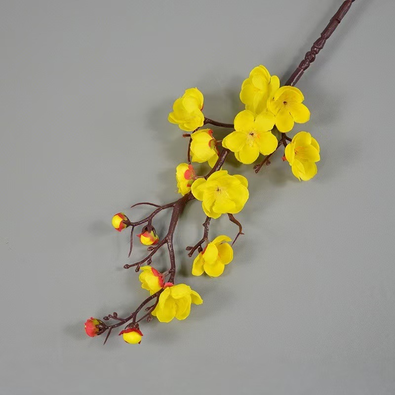 중간 가지 매화 노란색
