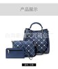 Set, fashionable bag strap one shoulder, suitable for import, 2021 collection, Korean style, 3 piece set