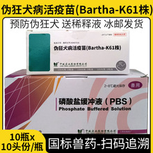 中牧猪伪狂犬病活疫苗K61株 猪疫苗 小猪伪狂犬疫苗猪用兽药