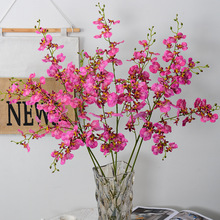 �Sɫ�����m��c�������������m�����m�Ҿ��bٻ�����3�������m