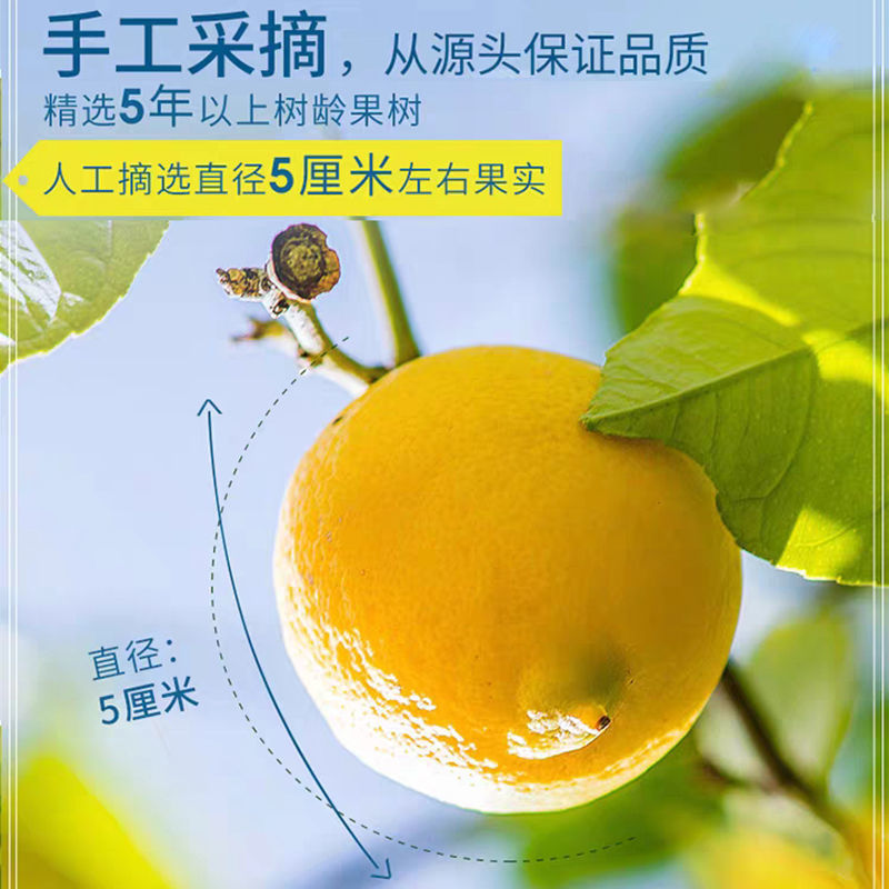 柠檬片柠檬干泡水柠檬茶新鲜柠檬干片水果茶搭配菊花玫瑰花茶组合