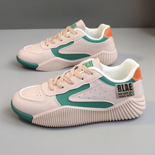 ŮA^ƴɫp㰢ЬWtͬinseЬŮ-m͸W