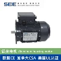 美国加拿大550w460v电动机