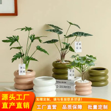 ɶƄRɫȦմɻmGֲ󺆼sL