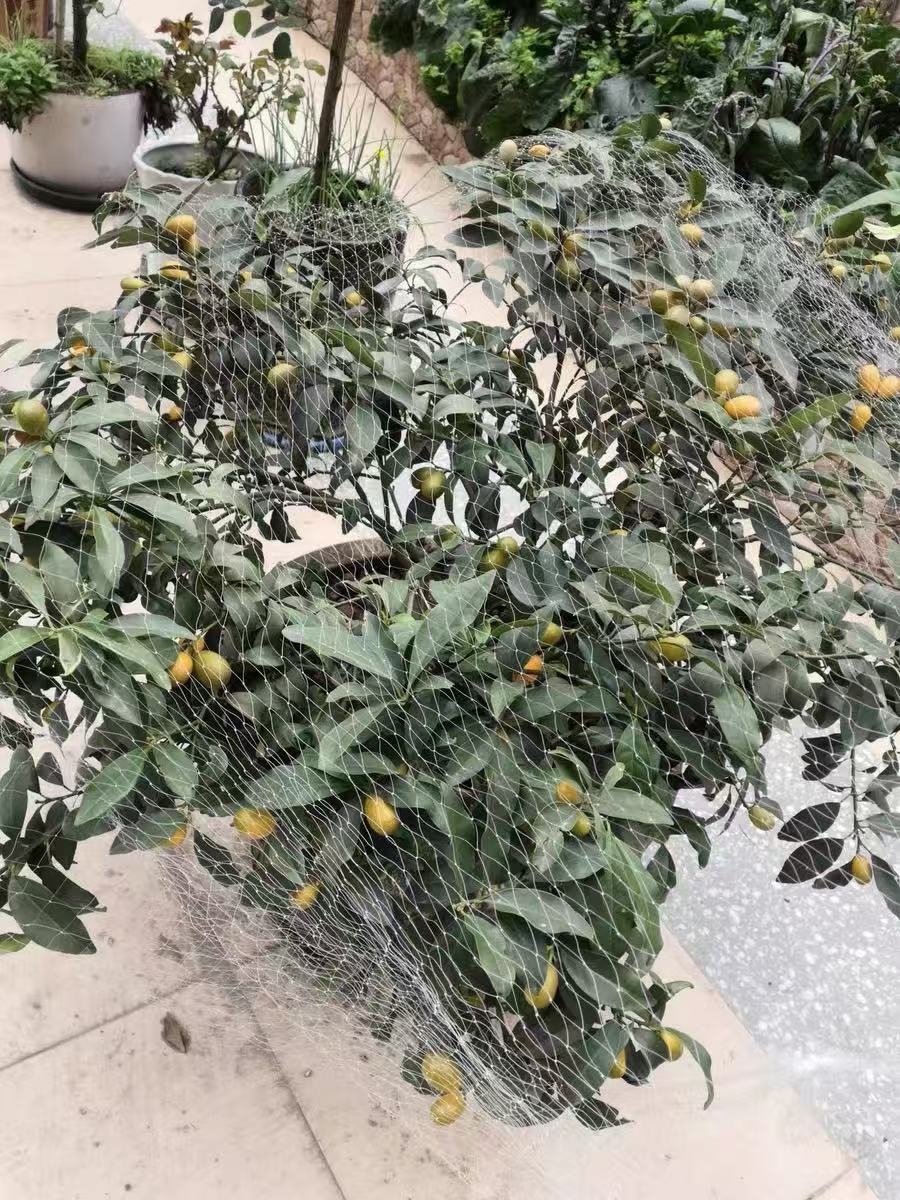 微信图片_20250410143207