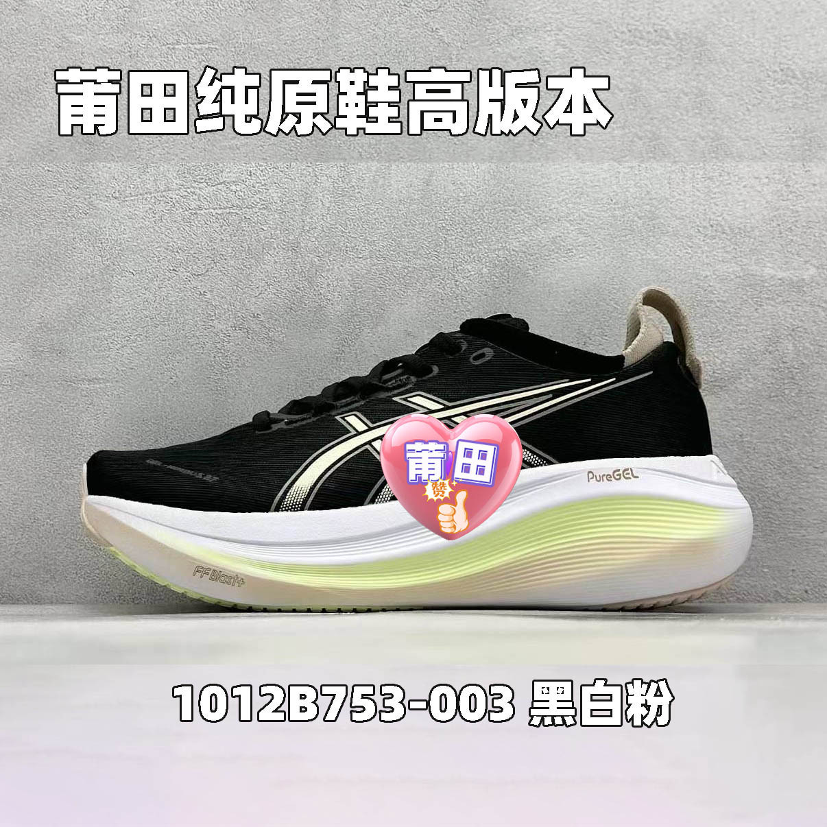 흑백 분말 1012B753-003