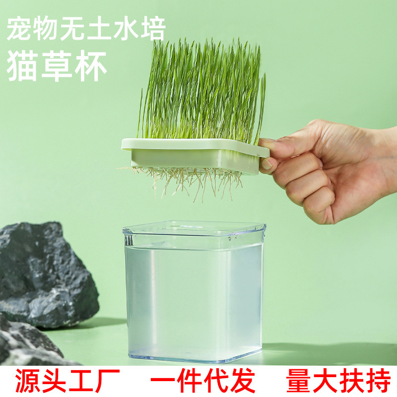 Original New Lazy Cat Grass Cup Cat Hair-Free Soilless Hydroponic Planting Potted Wheat Seeds Hair Ball Wholesale
