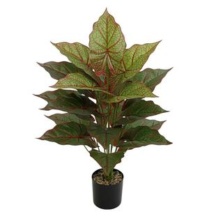 ����Gֲ�����R���~���W�L�Ҿӿ͏d�b[���@���쾰ֲ��Gֲ