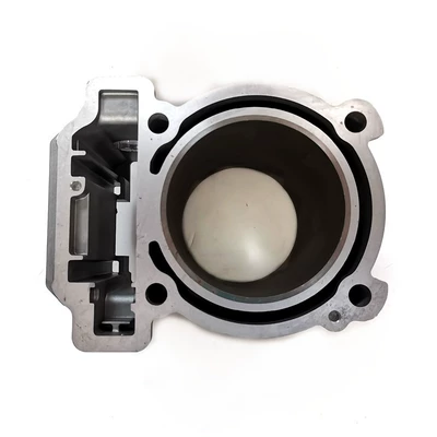 495 ccCF550CForce UForce sleeve – Cylinder and parts