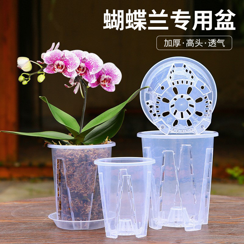 Specialized Phalaenopsis Orchid Pot, Qingshan Root-Control Pot, Thickened Plastic Large Orchid Pot, Cylindrical Hollow Transparent Flower Pot Wholesale