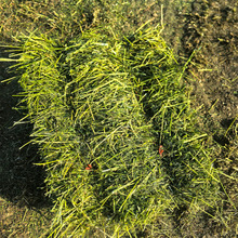 ��ޣ�ɲ���25���²��^���ϻ���ޣ�ݸɲ���