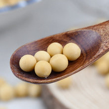 谷米集黄豆150g东北豆浆黄豆中国大陆包装其他常温通风处