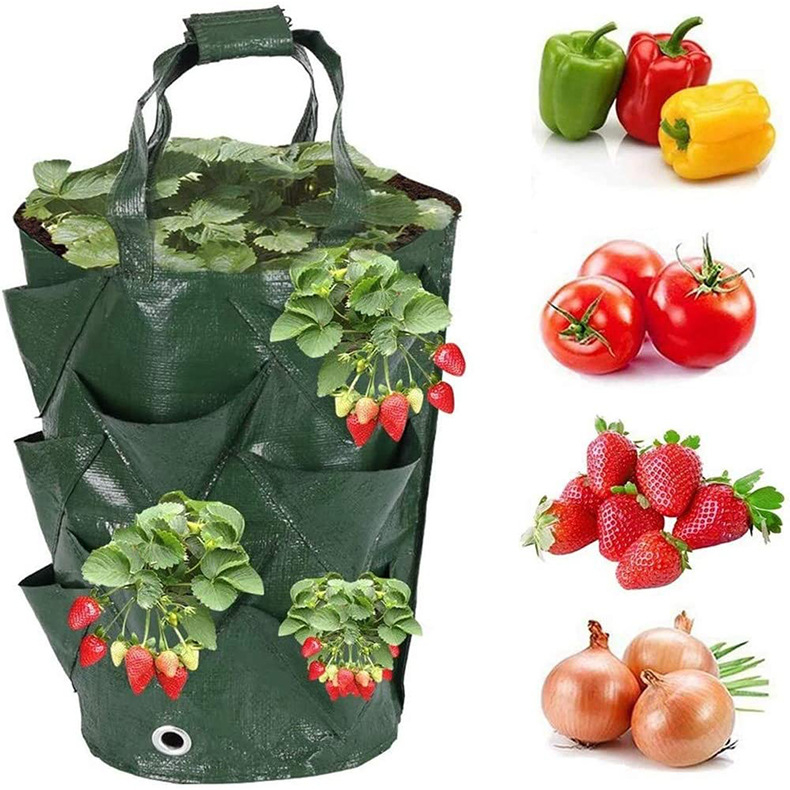 Amazon cross-border hanging flower pot bag strawberry flower pot container flower vanilla planting bag 3 gallon spot
