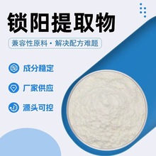 食品原料棕黄色粉末含锁阳碱花色甙三萜皂甙鞣质水溶性锁阳提取物