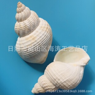 ��Ȼ����ؐ���������~��ˮ��ľ�з��Q���Ӽ��b̌W����