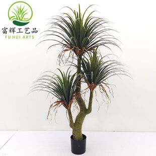 ����Gֲ��Ѫ��ǧ��ľ��횘������쾰�M�Ͼ��^�b��ߔ[�����l
