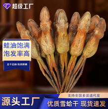 现货现货长白山雪蛤干林蛙干整只林蛙蛤蟆干 林蛙油雪蛤膏雪速发