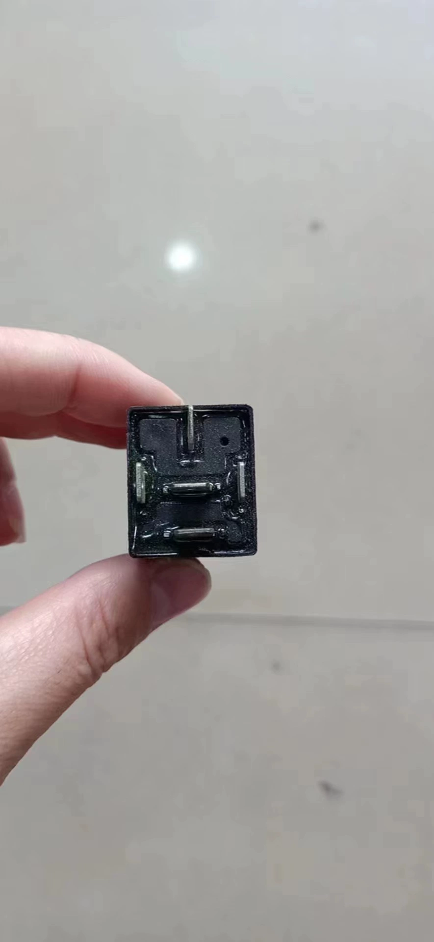 Relay, 12v, 24v