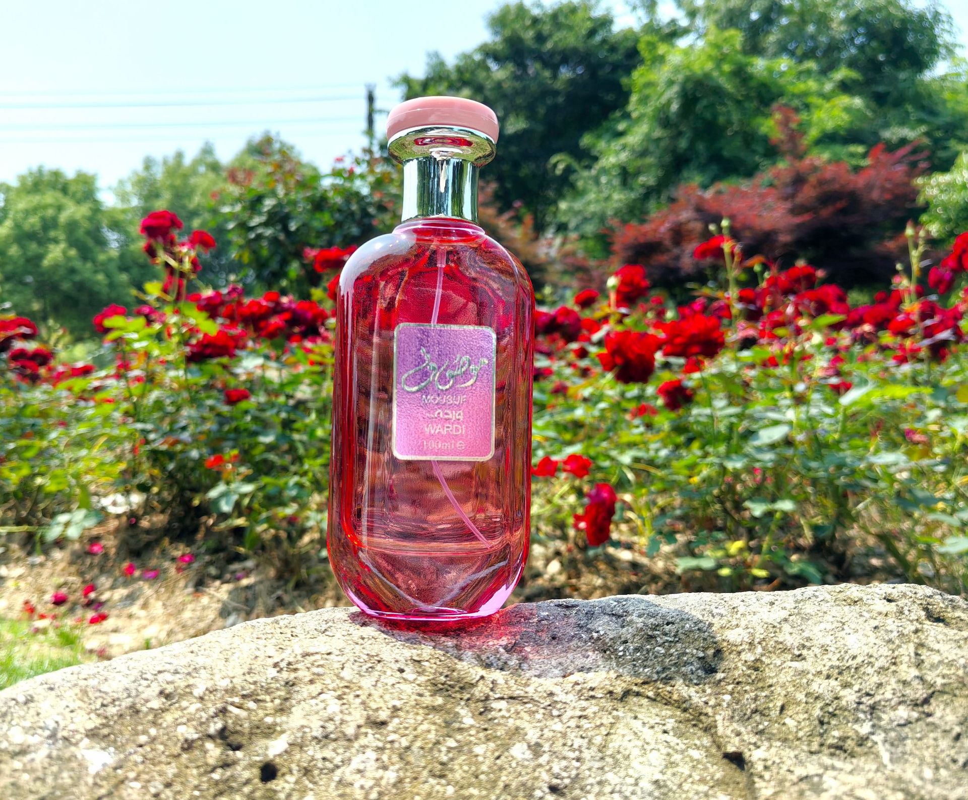 Eau De Toilette Perfume With Deep Woody Notes Middle Eastern Style_voghion.com