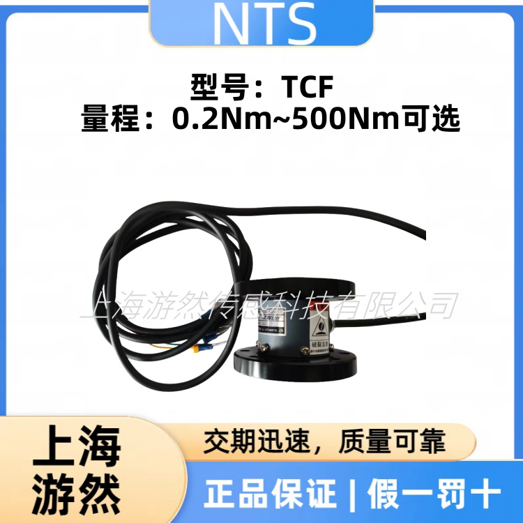 TCF-100N    日本nts传感器 进口扭矩传感器 两头法兰静态扭矩