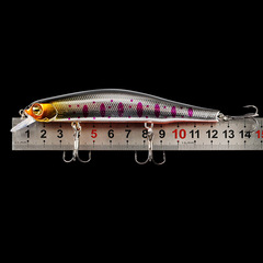 Remote Sea Fishing Tackle Lure Minnow 12.5cm with Magnetic Center of Gravity Transfer Lure Hard Baits Manufacturer