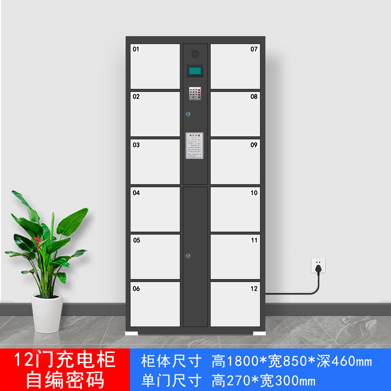 Gabinete de carga Reconocimiento facial Herramientas eléctricas de escaneo de código de WeChat Batería de litio Almacenamiento de almacenamiento de teléfonos móviles Almacenamiento inteligente