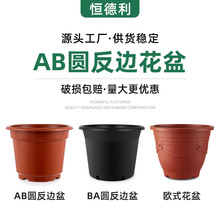 �u�tɫab�A��߅���賬��̖���s�Wʽ�������ϼӺ��ɫ���ԷNֲ����