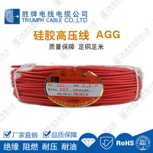 AGG���z�߉���40KV �͸ߜ�200���͸߉����ϻ���ȼ�^��