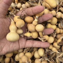 С���J��Ȼ���J������������[������S�ҵؔ�С����Ҿӿ��ñ���