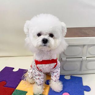 Dog Dust-Proof Pants, Walking Pants, Spring and Summer Anti-Dirty and Insect-Proof, Lightweight Four-Legged Pants, Leg Covers, Leggings, Small Size Dogs Clothes for All Seasons