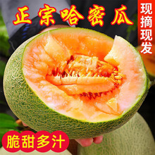 �r�ҬFժ���ܹϮ�������3/9�ﺣ�����rˮ�������۹ϑ���