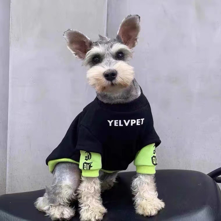 秋冬猫咪狗狗潮牌衣服布偶猫蓝猫防掉毛小型犬雪纳瑞宠物加绒卫衣|undefined