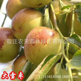 �ʹڗ�����޽ӹ������ϱ������Ե���ͥԺ�Nֲմ����z������Y��