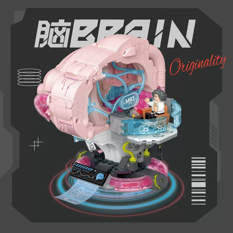 集域积木儿童益智力拼装小颗粒大脑心脏神经模型玩具男孩拼图礼物