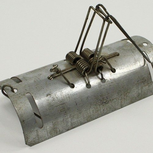 2025-04-09 17:40:31.jpg