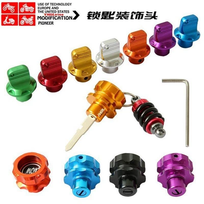Electric vehicle key cover shell – Handle - one-random-key-head-and-key-handle-replacement-head