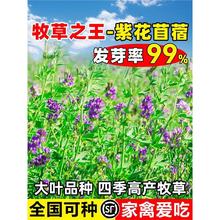 ϻޣݷNιiţuZļ~ݷN~ݷN