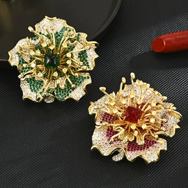 胸针;耳钉;项链